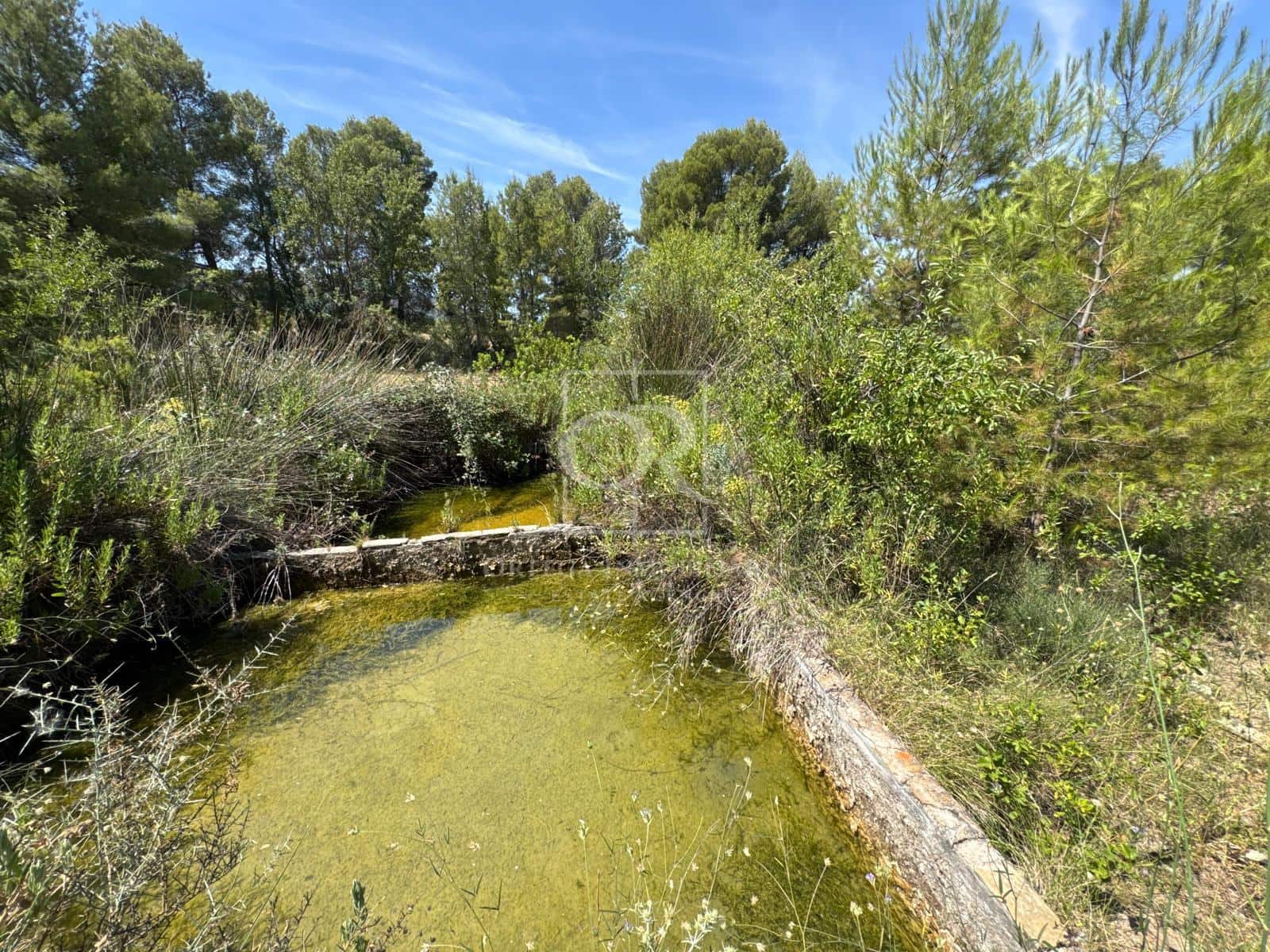 Undeveloped Land for sale in Cehegin - € 225,000 (Ref: 10120786)