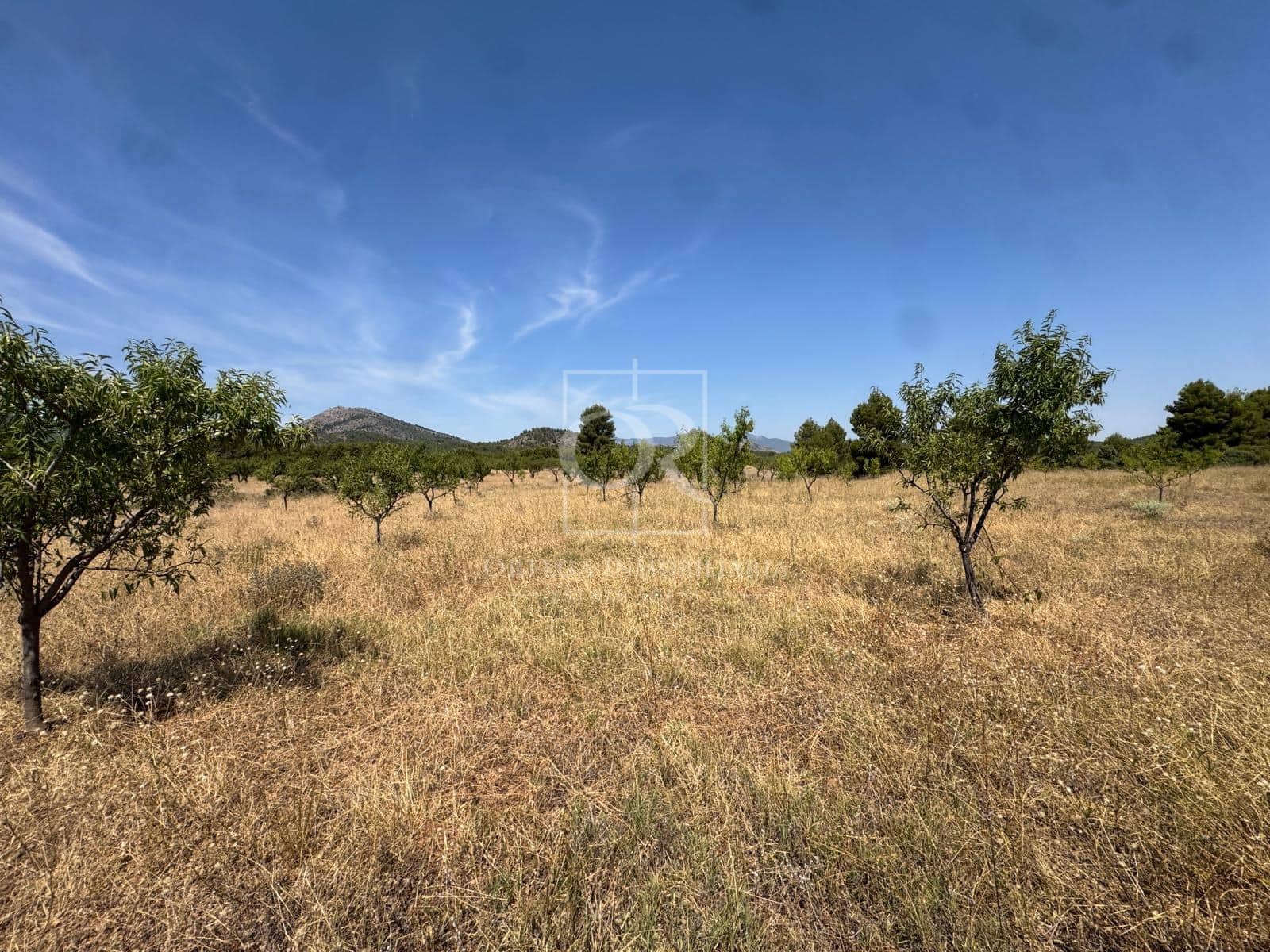Undeveloped Land for sale in Cehegin - € 225,000 (Ref: 10120786)