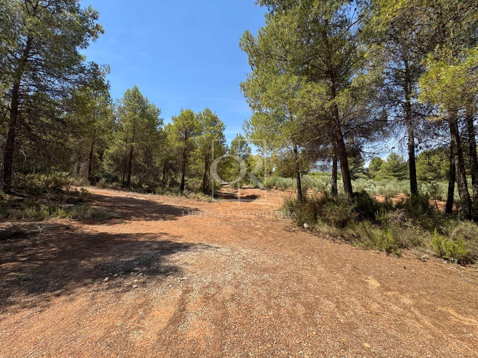 Undeveloped Land for sale in Cehegin - € 225,000 (Ref: 10120786)