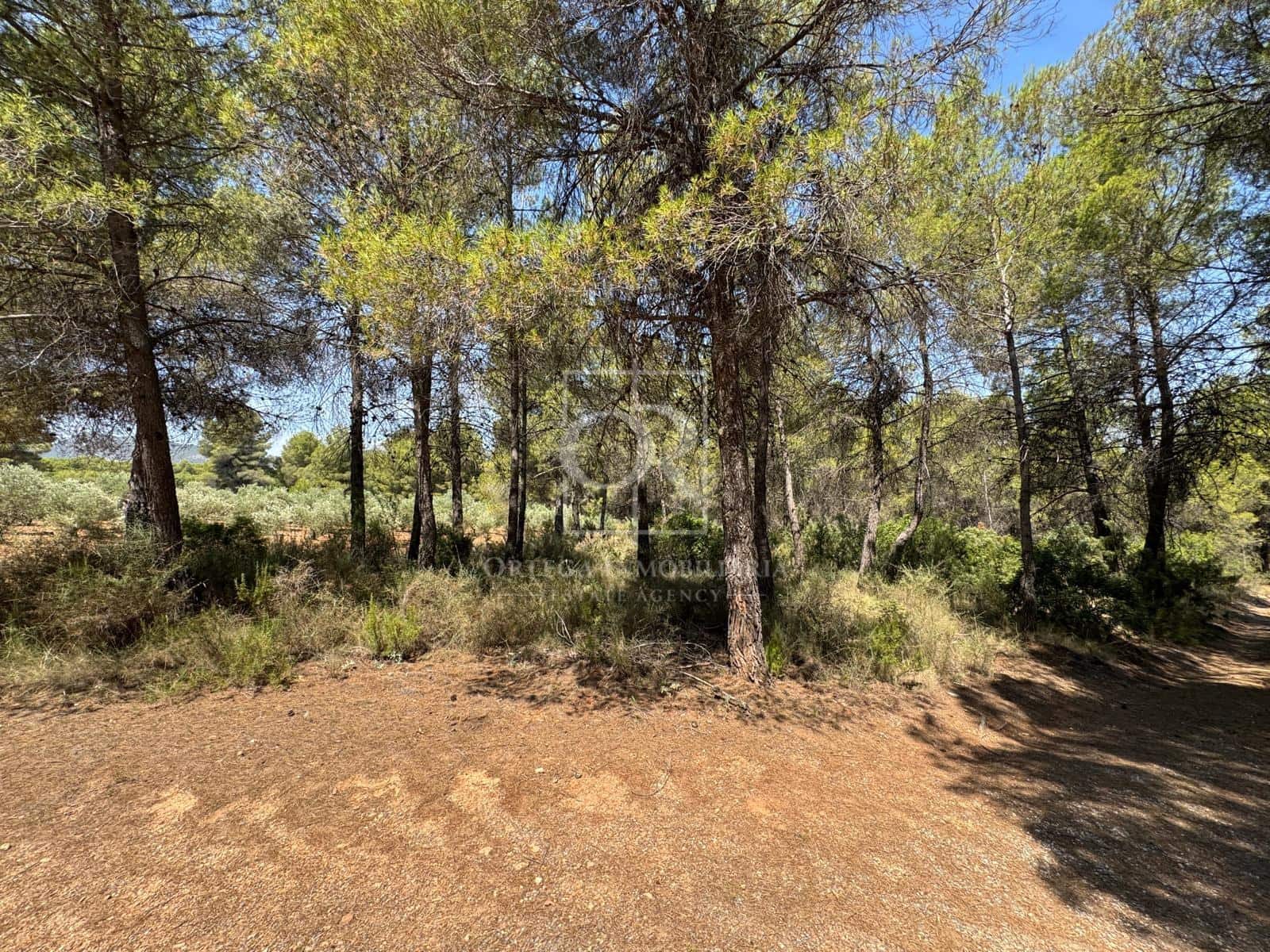 Undeveloped Land for sale in Cehegin - € 225,000 (Ref: 10120786)