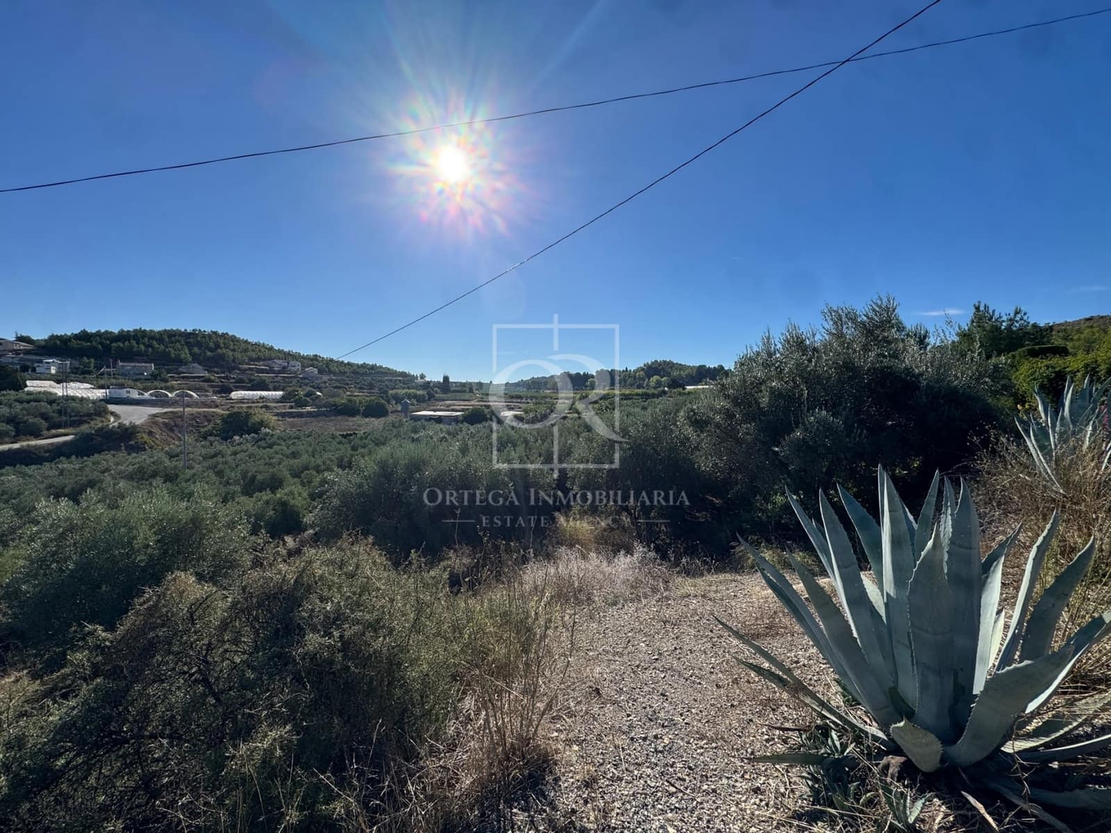 Ubebygd land til salgs i Cehegin - € 35 000 (Ref: 10167464)