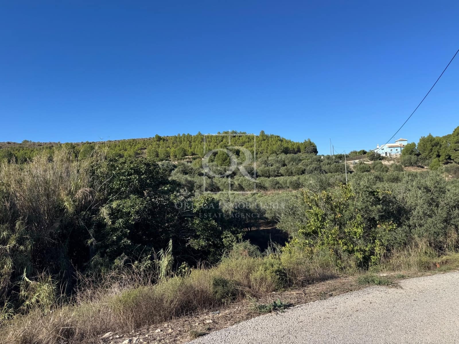 Ubebygd land til salgs i Cehegin - € 35 000 (Ref: 10167464)