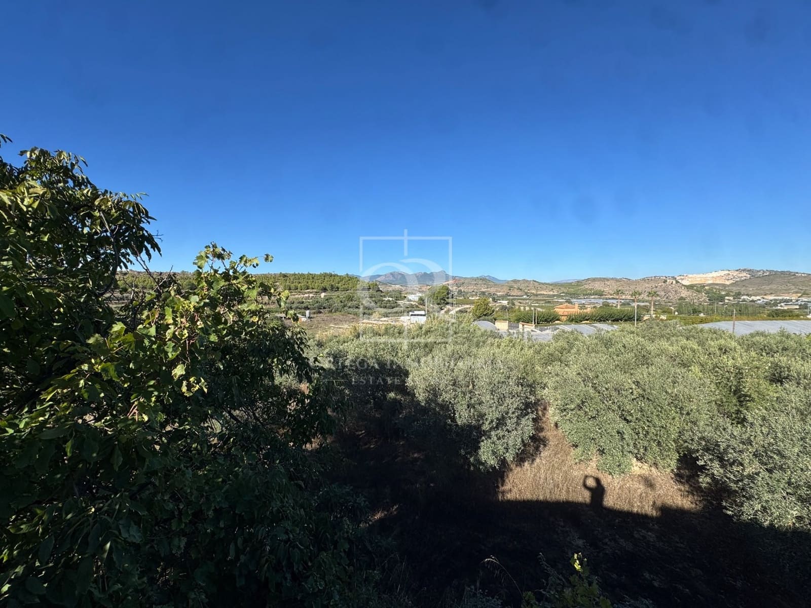Ubebygd land til salgs i Cehegin - € 35 000 (Ref: 10167464)