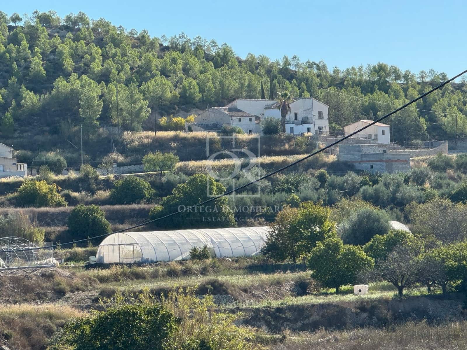 Ubebygd land til salgs i Cehegin - € 35 000 (Ref: 10167464)