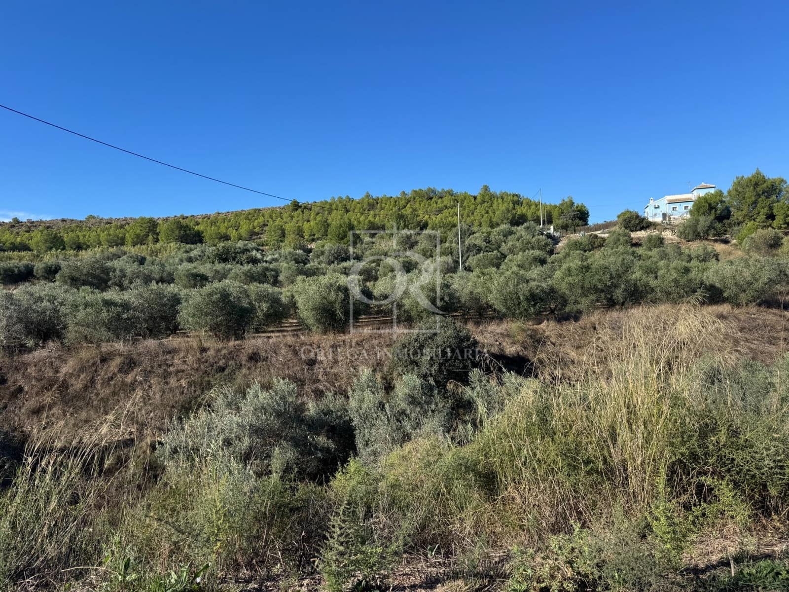 Ubebygd land til salgs i Cehegin - € 35 000 (Ref: 10167464)