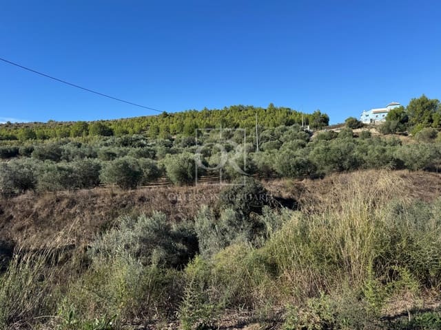 Terreno Non Edificato in vendita in Cehegín - 35.000 € (Rif: 10167464)