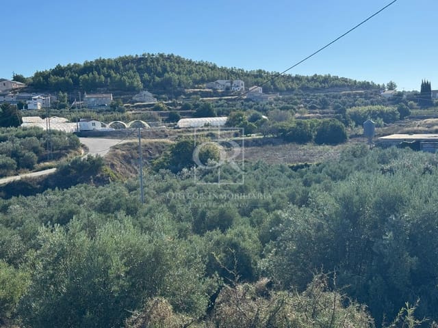 Terreno Non Edificato in vendita in Cehegín - 35.000 € (Rif: 10167464)