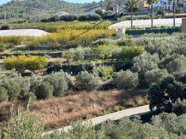 Terreno Non Edificato in vendita in Cehegín - 35.000 € (Rif: 10167464)