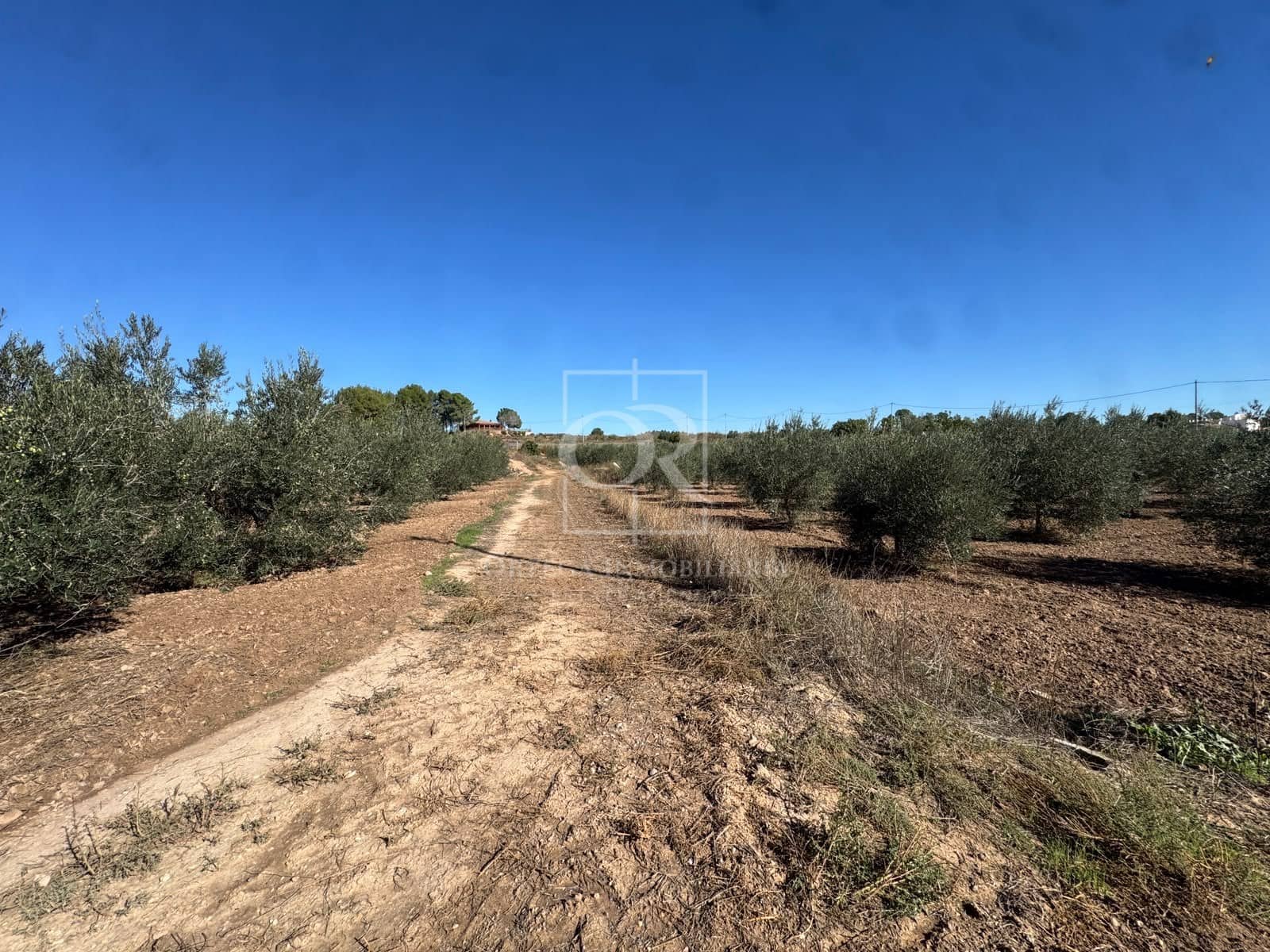 Terreno Non Edificato in vendita in Cehegin - 35.000 € (Rif: 10167939)
