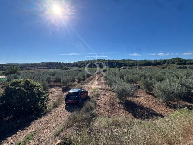 Terreno Non Edificato in vendita in Cehegín - 35.000 € (Rif: 10167939)