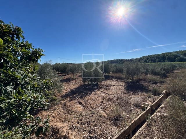 Terreno Non Edificato in vendita in Cehegín - 35.000 € (Rif: 10167939)
