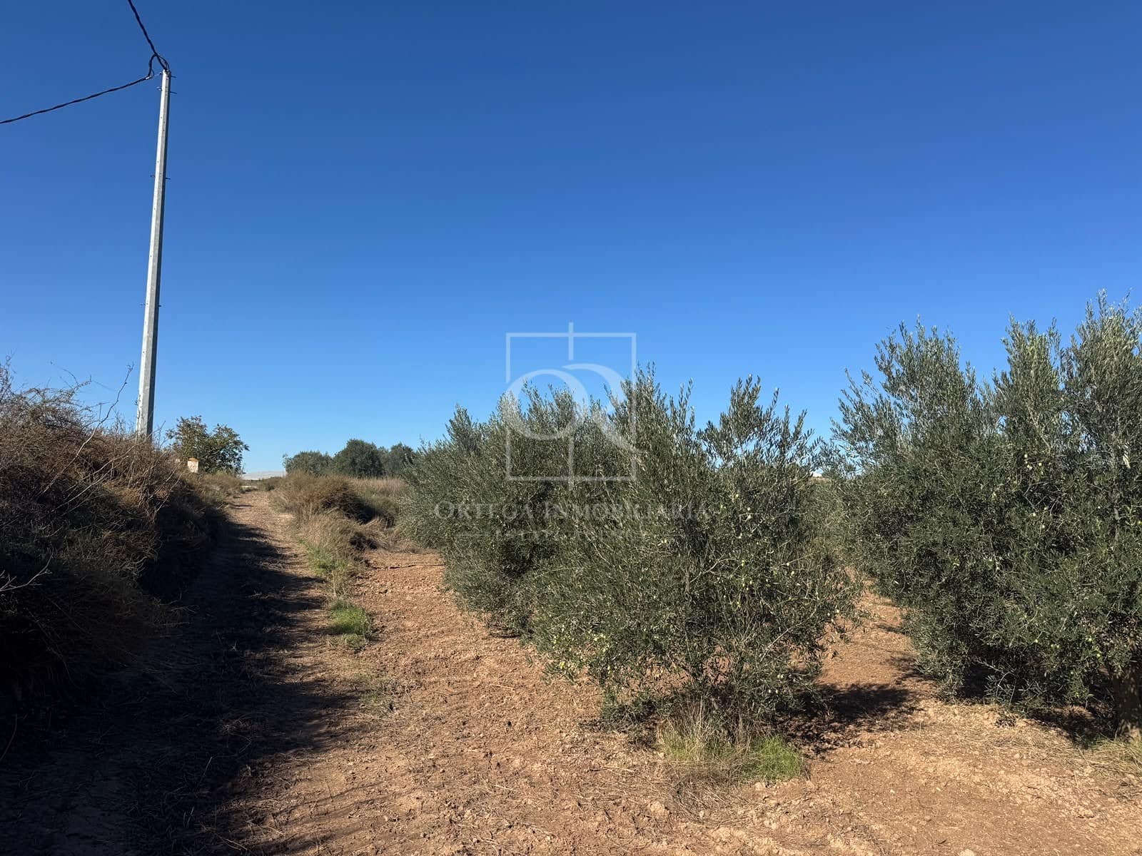 Terreno Non Edificato in vendita in Cehegin - 35.000 € (Rif: 10167939)