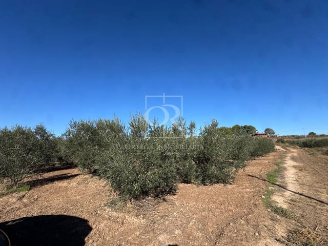 Terreno Non Edificato in vendita in Cehegín - 35.000 € (Rif: 10167939)