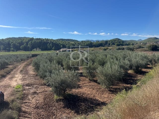 Terreno Non Edificato in vendita in Cehegín - 35.000 € (Rif: 10167939)