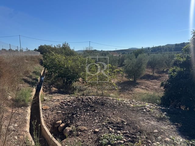 Terreno Non Edificato in vendita in Cehegín - 35.000 € (Rif: 10167939)