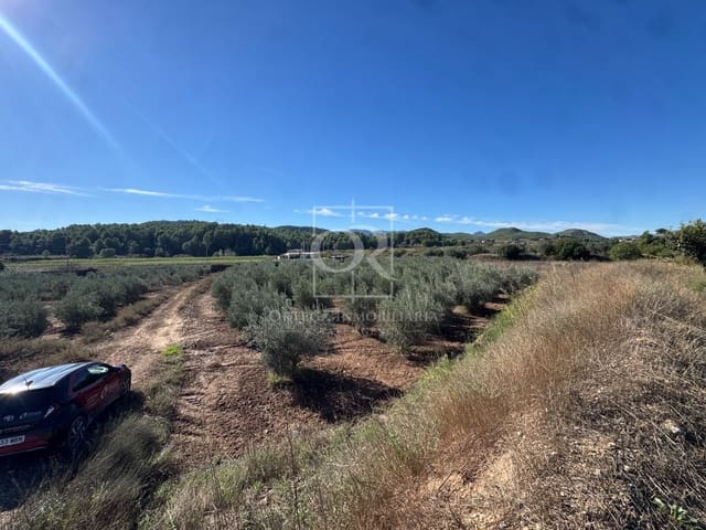 Terreno Non Edificato in vendita in Cehegín - 35.000 € (Rif: 10167939)