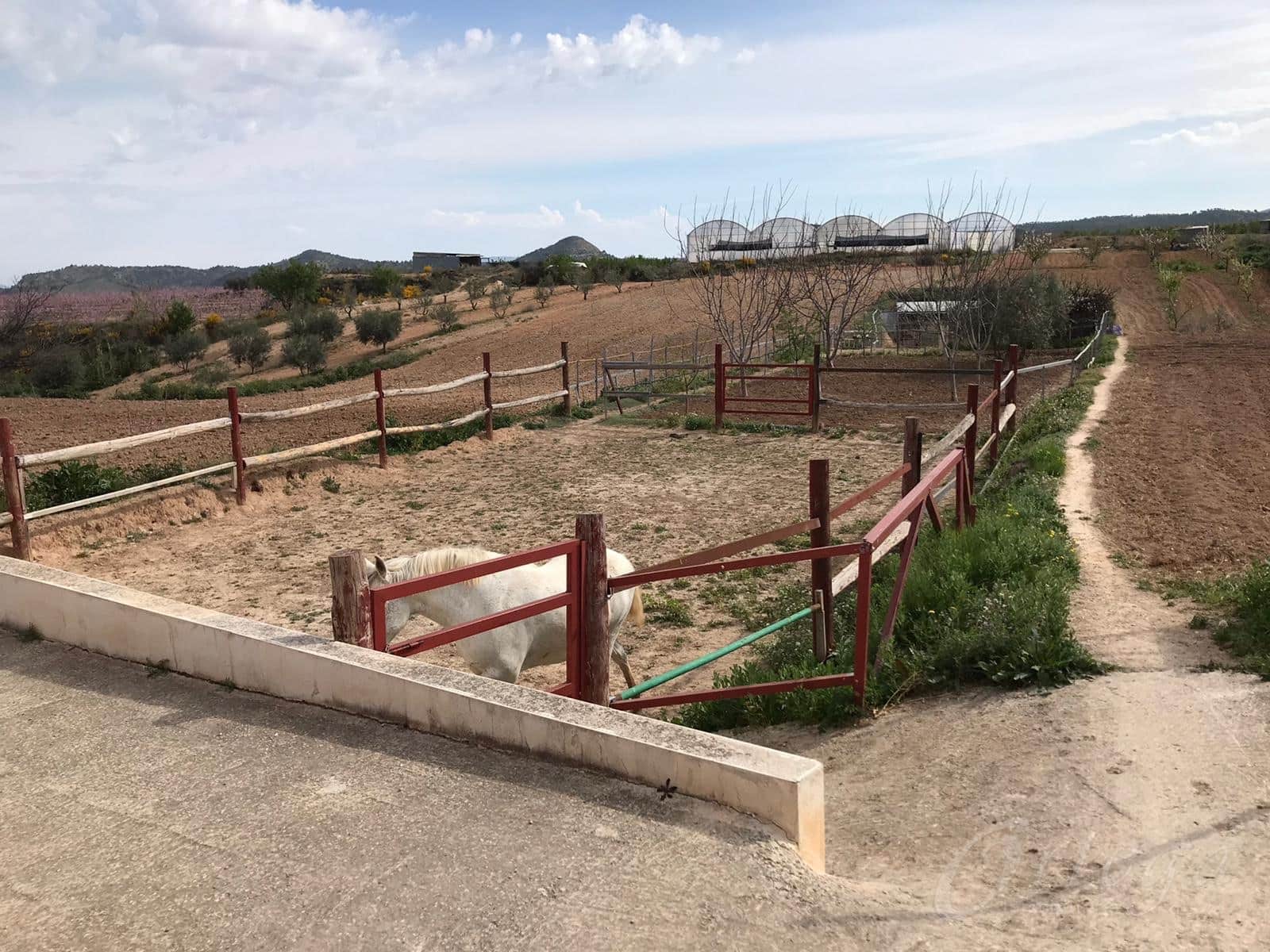 4 bedroom Finca/Country House for sale in Cehegin with pool garage - € 50,000 (Ref: 6086585)