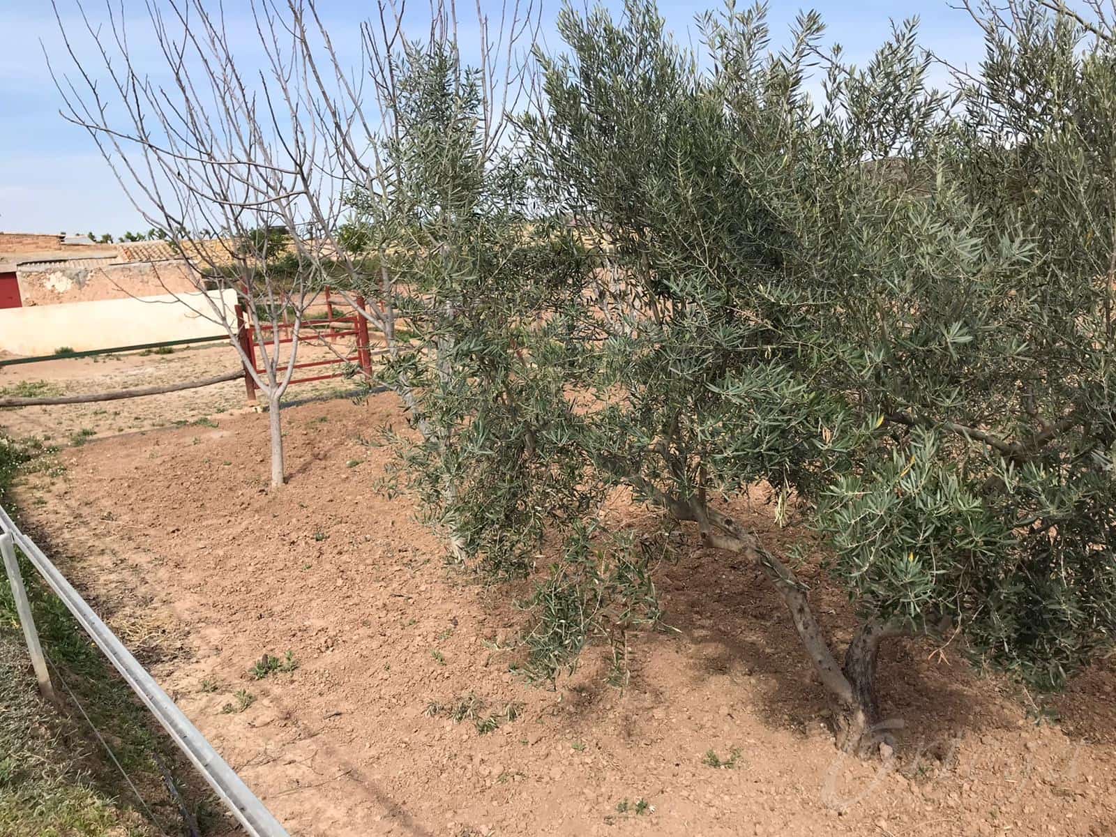 4 bedroom Finca/Country House for sale in Cehegin with pool garage - € 50,000 (Ref: 6086585)