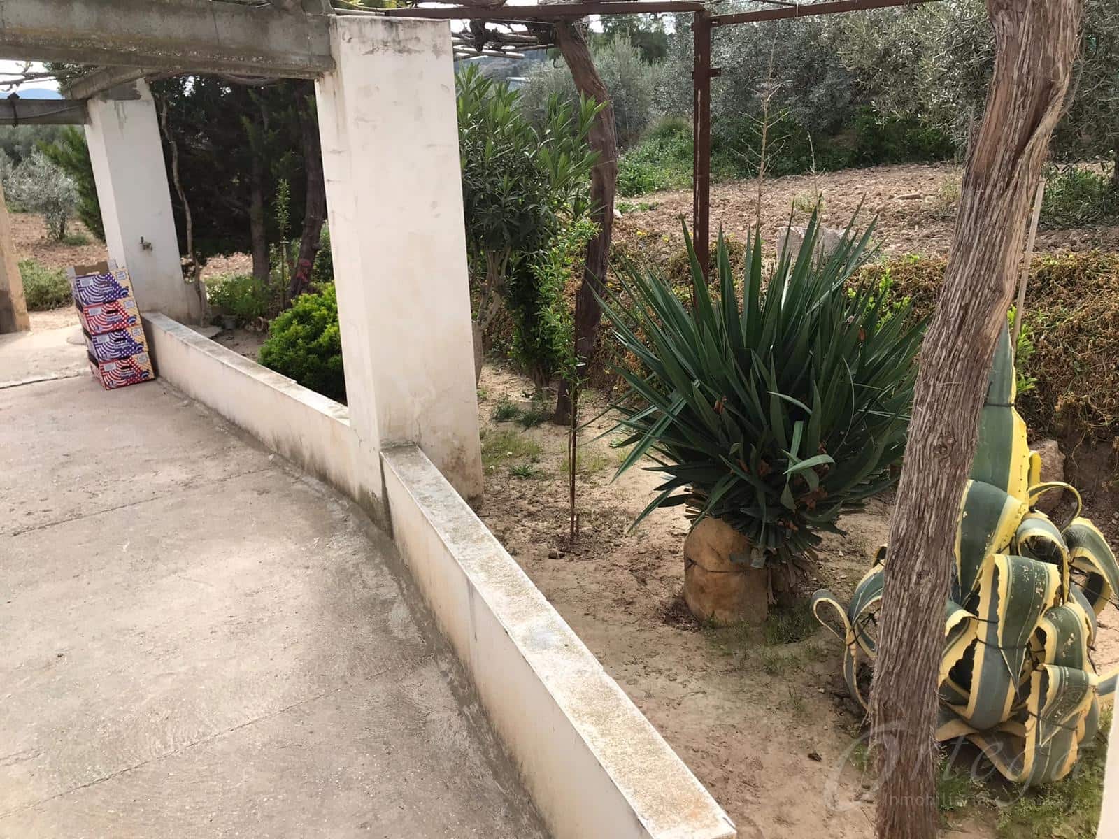 4 bedroom Finca/Country House for sale in Cehegin with pool garage - € 50,000 (Ref: 6086585)