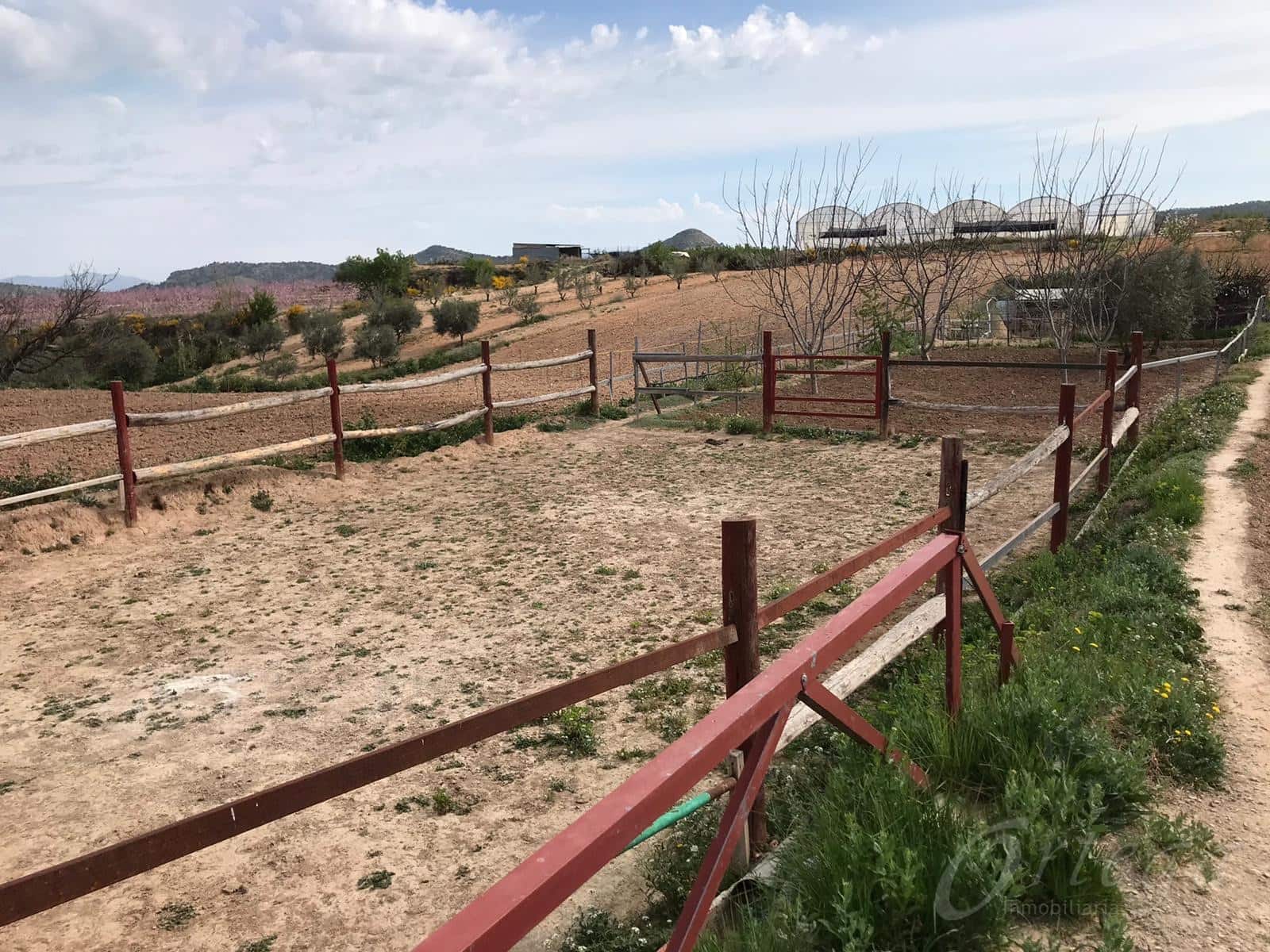 4 bedroom Finca/Country House for sale in Cehegin with pool garage - € 50,000 (Ref: 6086585)