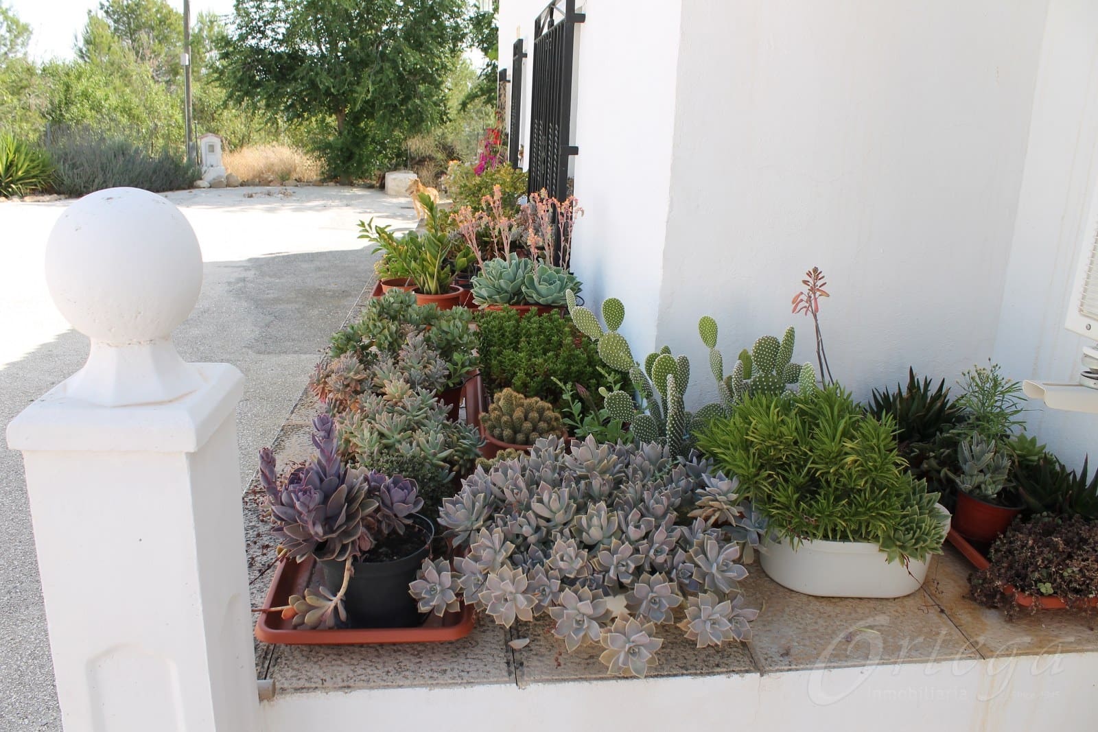 4 chambre Finca/Maison de Campagne à vendre à Cehegin avec piscine garage - 295 000 € (Ref: 6086599)