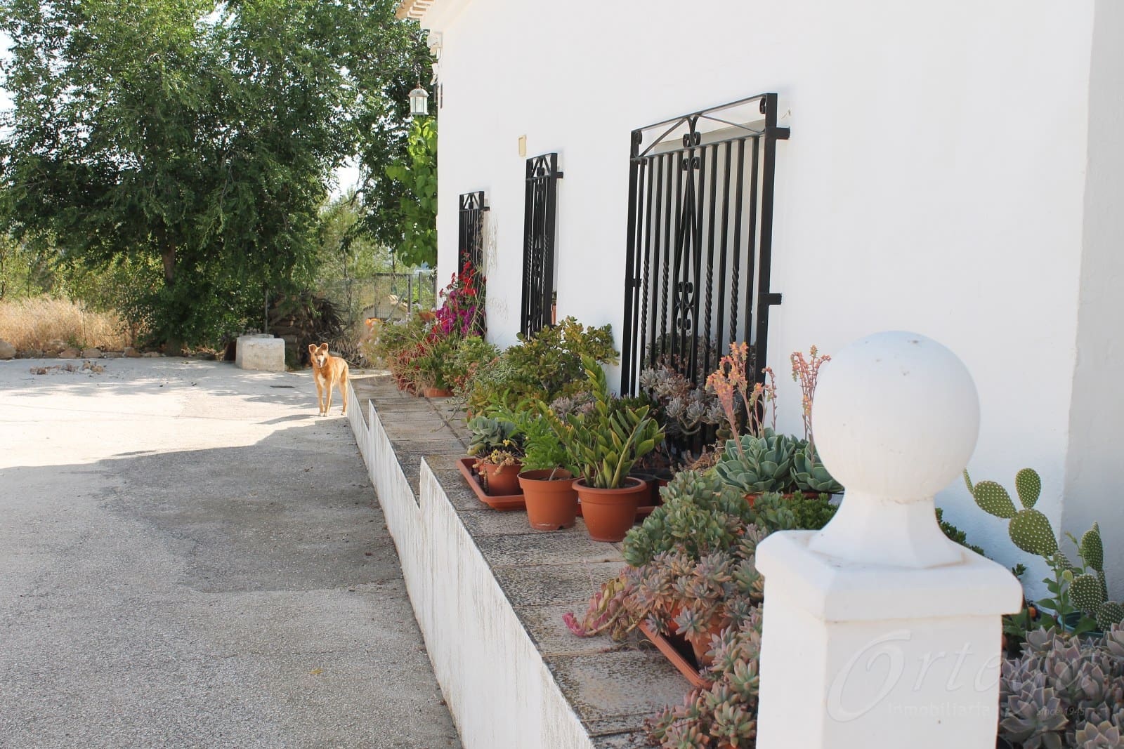 4 chambre Finca/Maison de Campagne à vendre à Cehegin avec piscine garage - 295 000 € (Ref: 6086599)