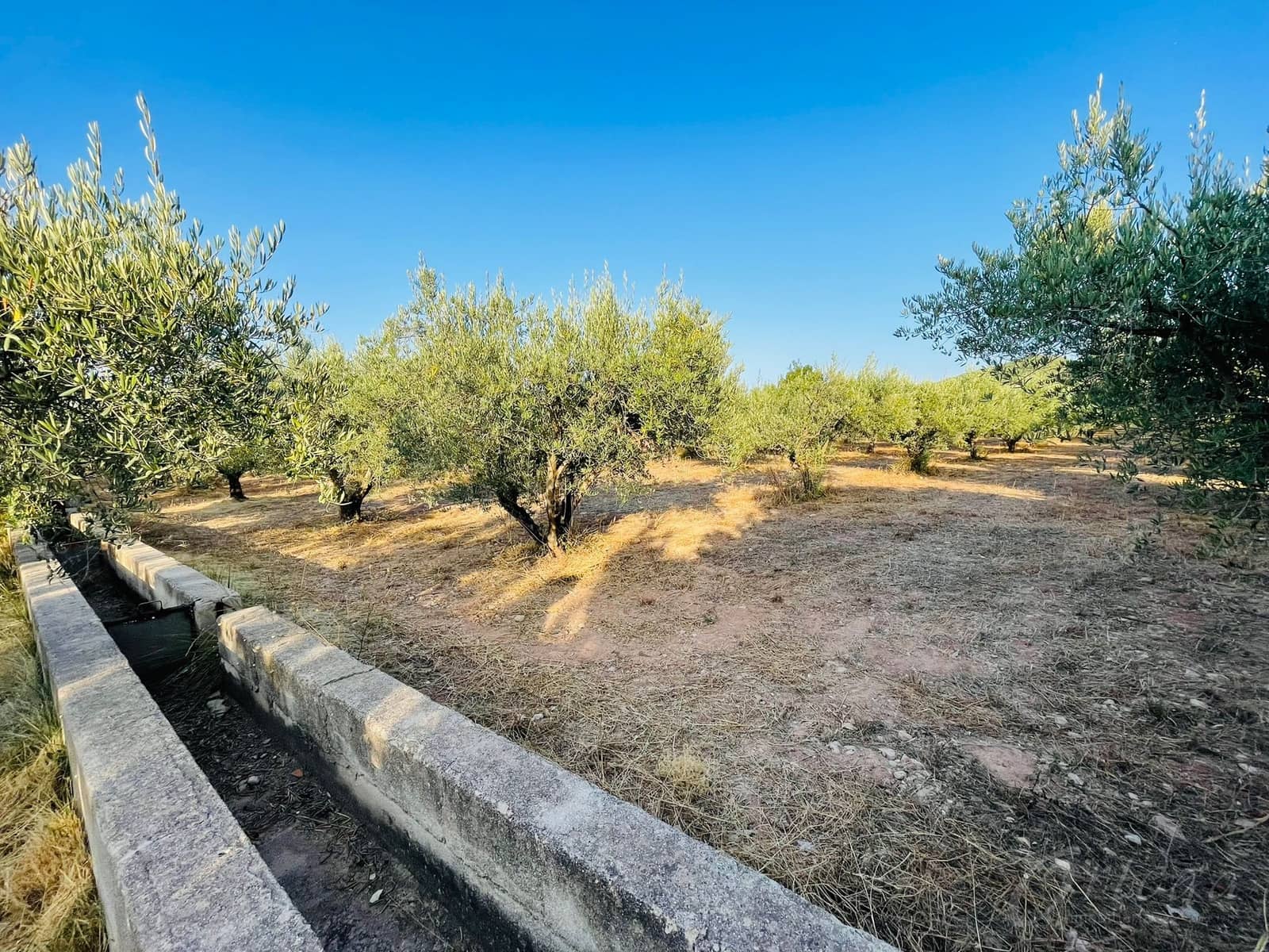 4 makuuhuone Maalaistalo myytävänä paikassa Cehegin mukana uima-altaan 
autotalli - 189 500 € (Ref: 6345482)