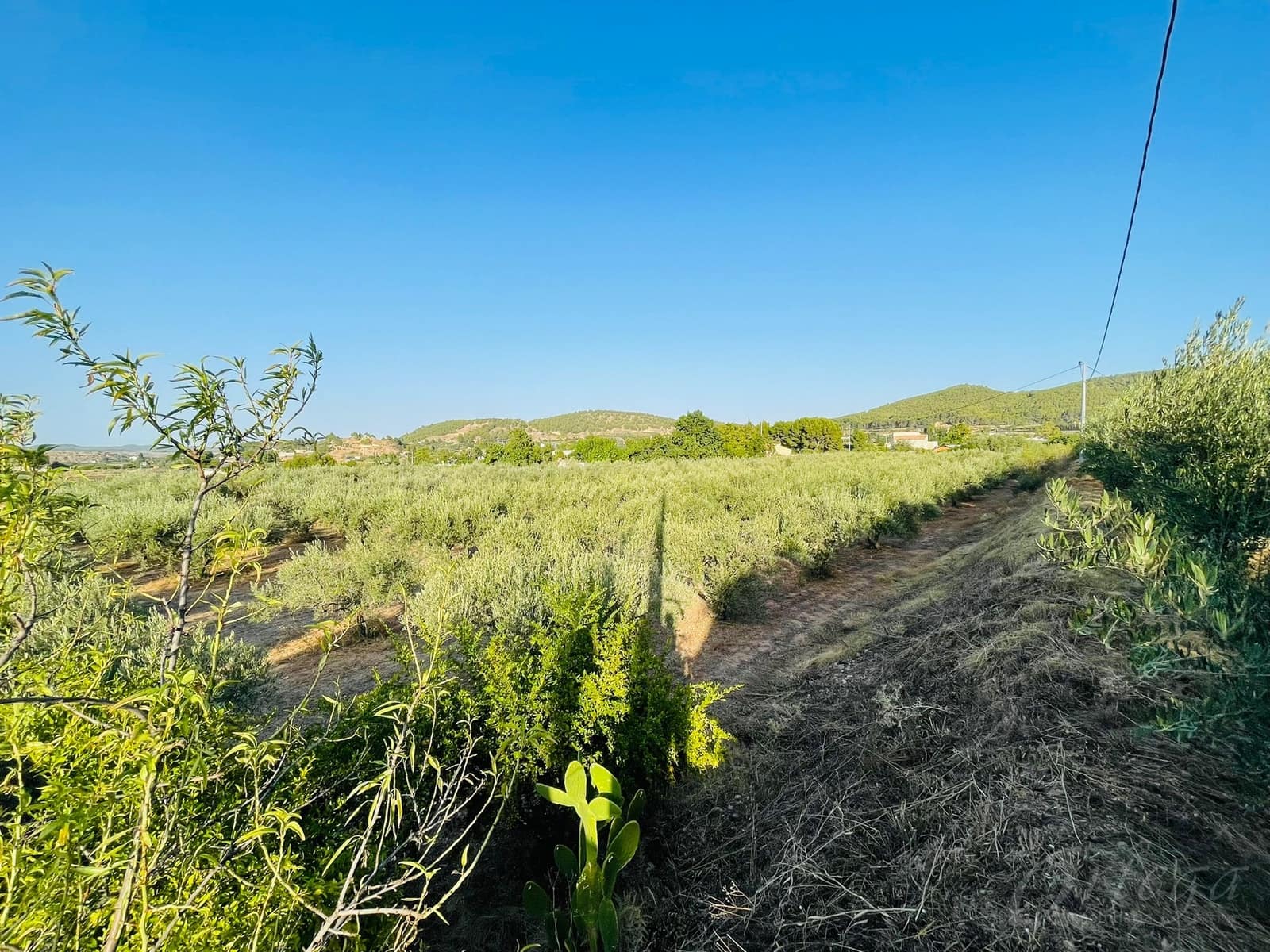 4 makuuhuone Maalaistalo myytävänä paikassa Cehegin mukana uima-altaan 
autotalli - 189 500 € (Ref: 6345482)