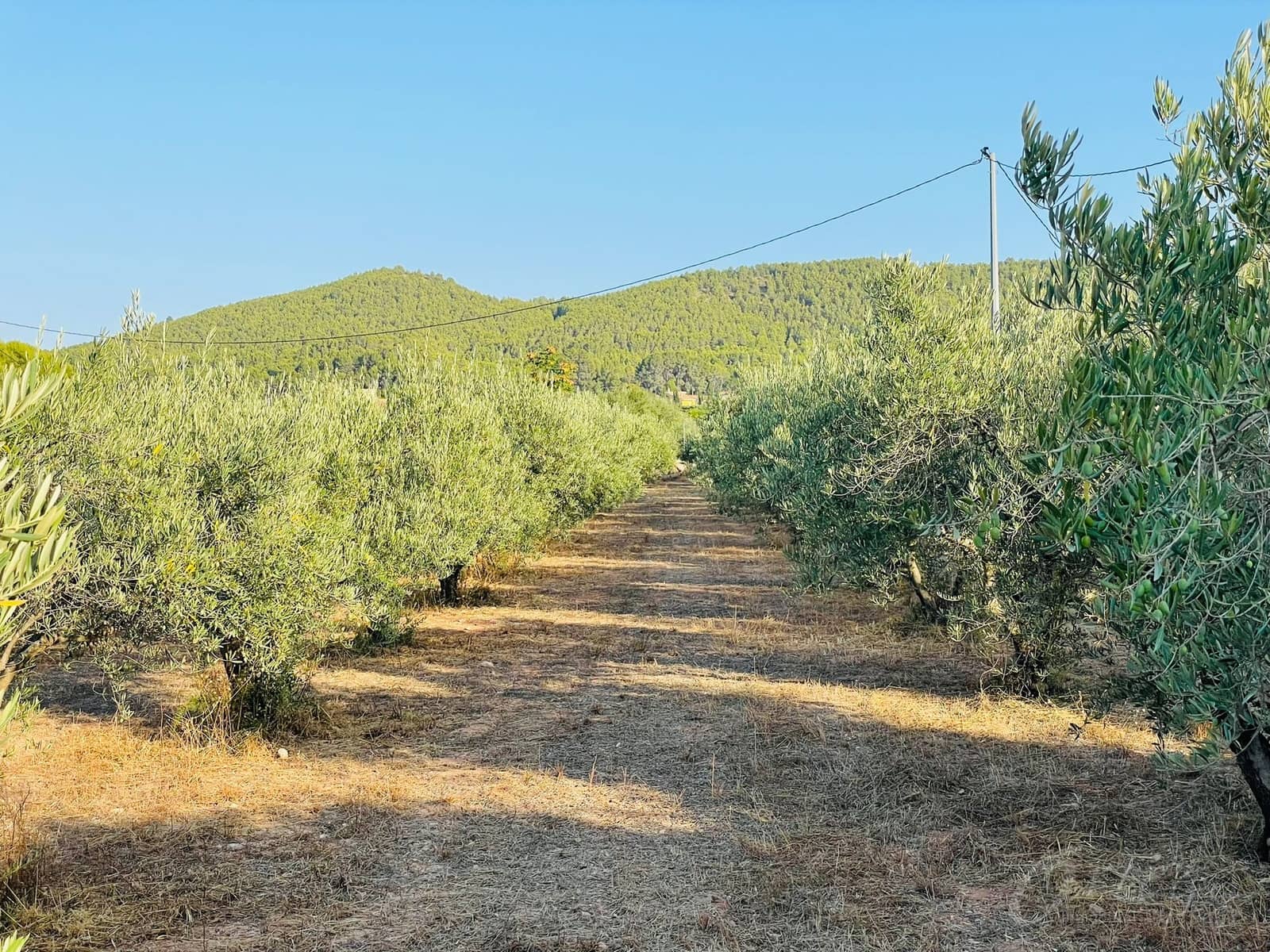 4 makuuhuone Maalaistalo myytävänä paikassa Cehegin mukana uima-altaan 
autotalli - 189 500 € (Ref: 6345482)
