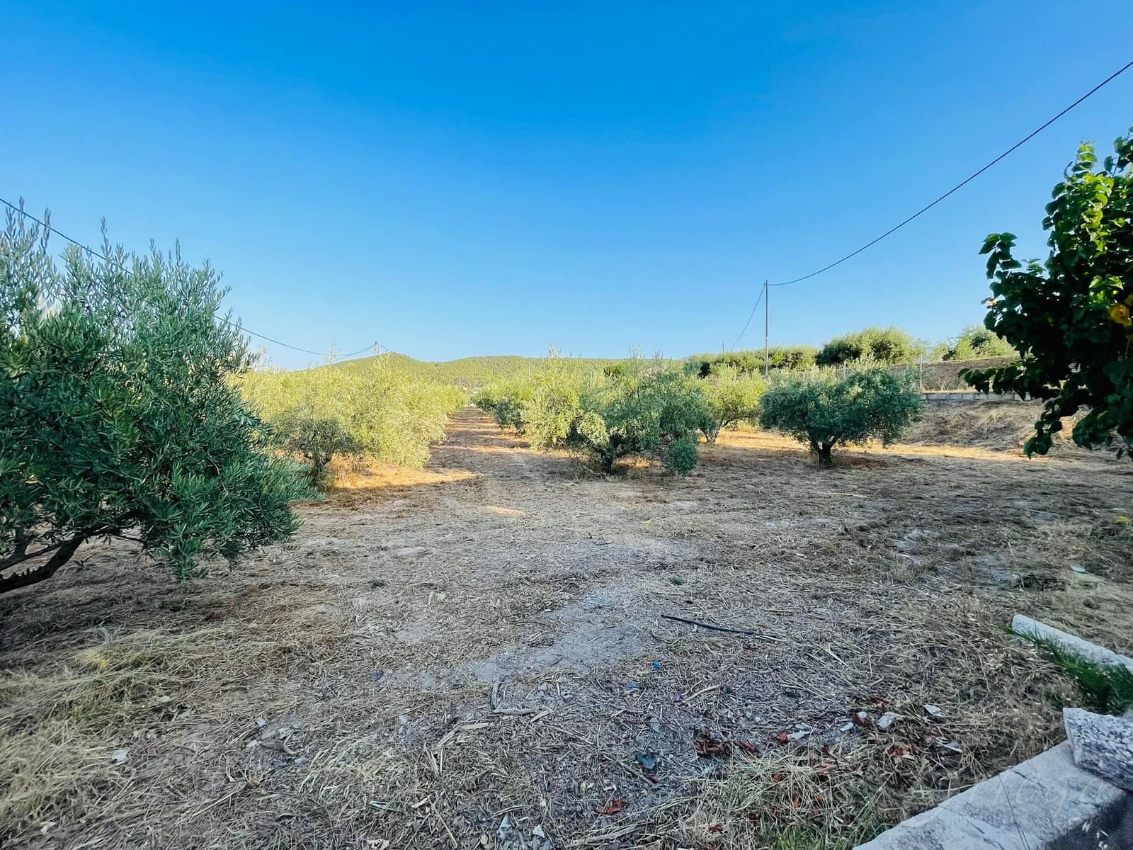 4 makuuhuone Maalaistalo myytävänä paikassa Cehegin mukana uima-altaan 
autotalli - 189 500 € (Ref: 6345482)