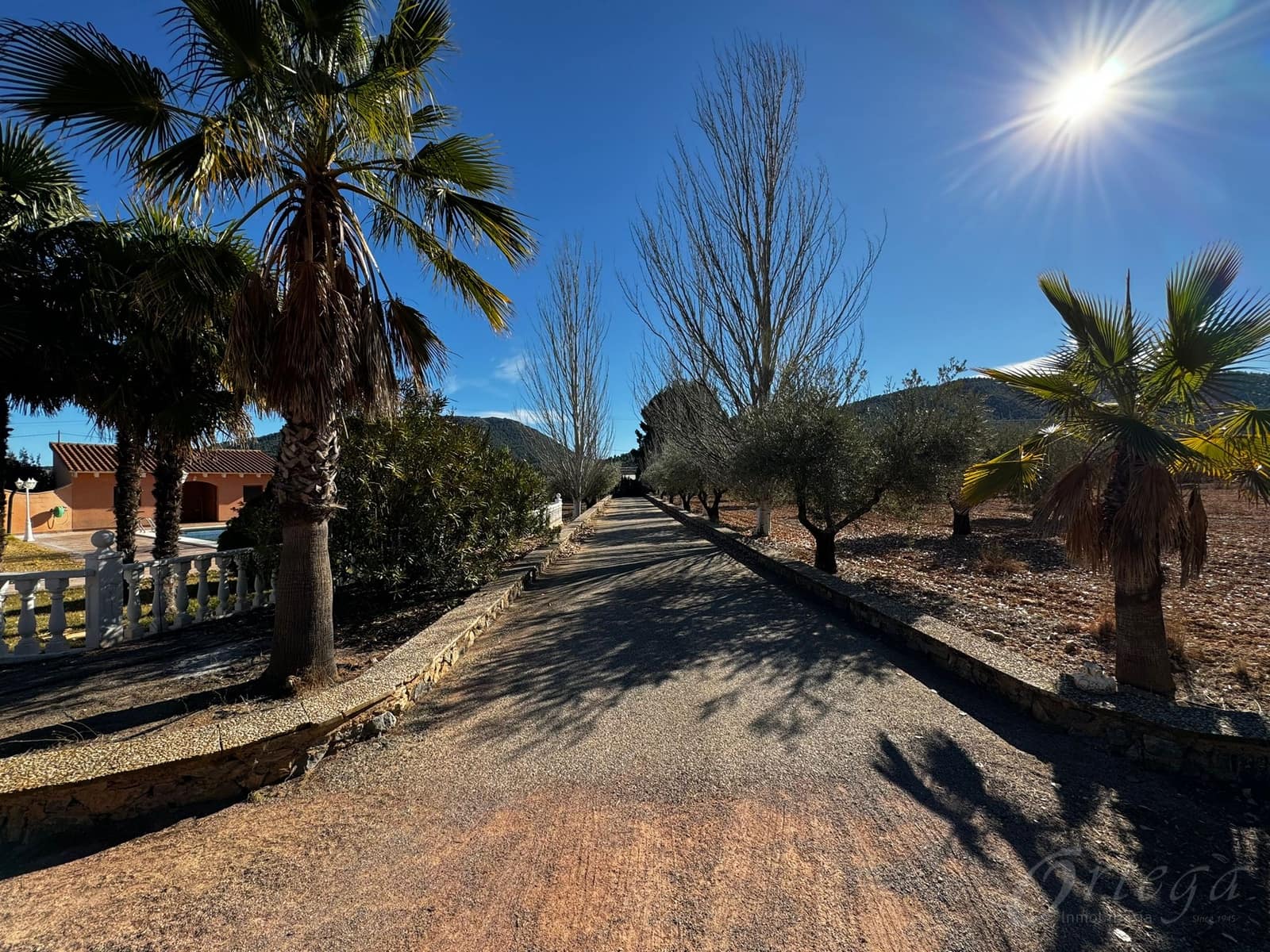 3 makuuhuone Maalaistalo myytävänä paikassa Cehegin mukana uima-altaan 
autotalli - 350 000 € (Ref: 6444315)