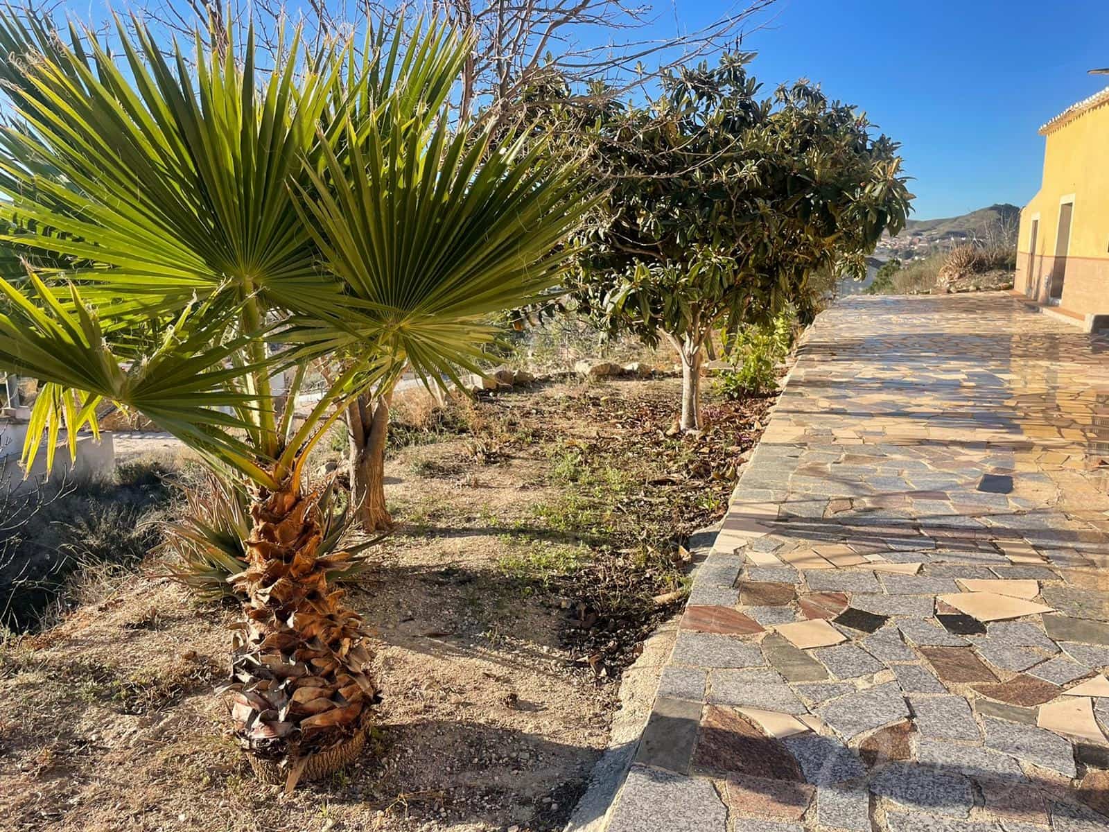 4 camera da letto Finca/Casa di Campagna in vendita in Canara con garage - 100.000 € (Rif: 6627259)