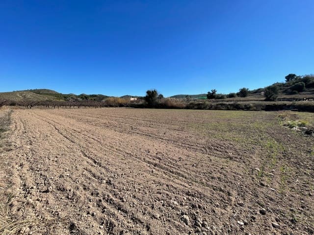 Undeveloped Land for sale in Cehegín - € 40,000 (Ref: 6652029)