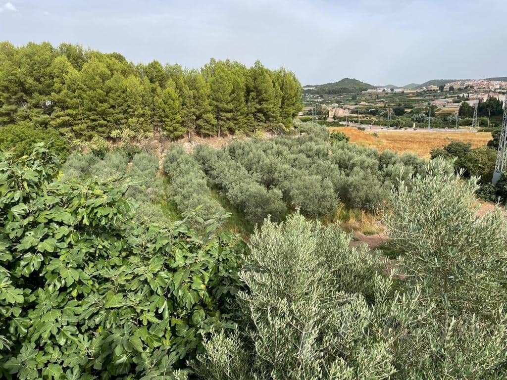 7 Zimmer Finca/Landgut zu verkaufen in Cehegin mit Garage - 159.500 € (Ref: 7059096)