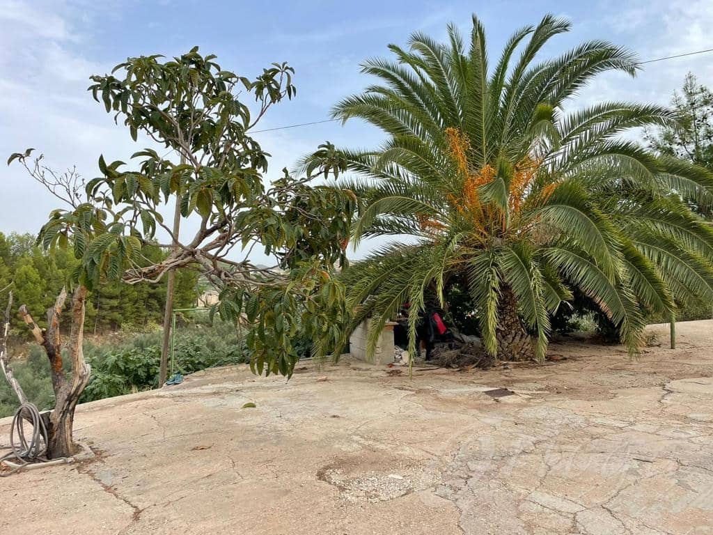 7 Zimmer Finca/Landgut zu verkaufen in Cehegin mit Garage - 159.500 € (Ref: 7059096)