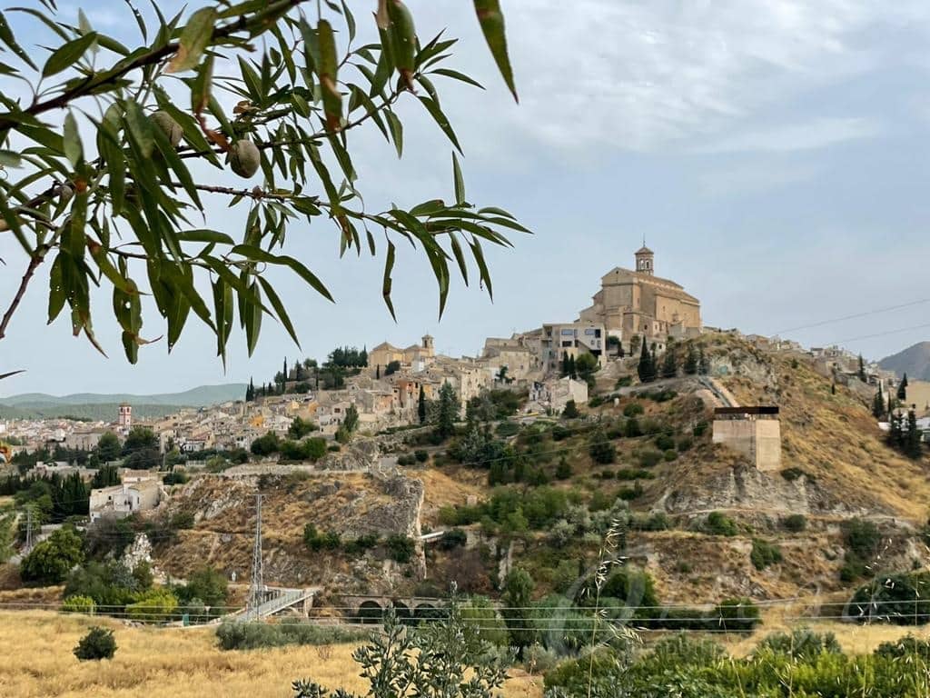 7 Zimmer Finca/Landgut zu verkaufen in Cehegin mit Garage - 159.500 € (Ref: 7059096)