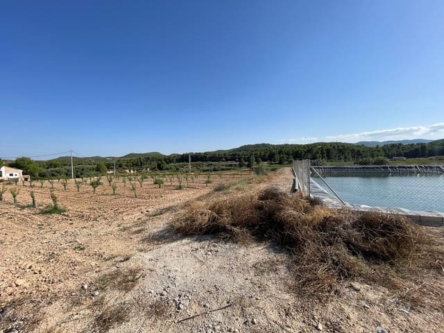 Rakentamaton maa myytävänä paikassa Cehegín - 450 000 € (Ref: 7246965)