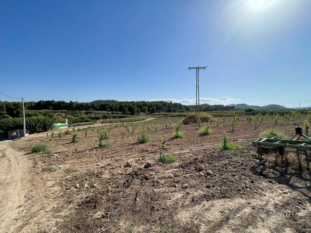 Rakentamaton maa myytävänä paikassa Cehegín - 450 000 € (Ref: 7246965)