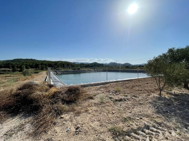 Rakentamaton maa myytävänä paikassa Cehegín - 450 000 € (Ref: 7246965)