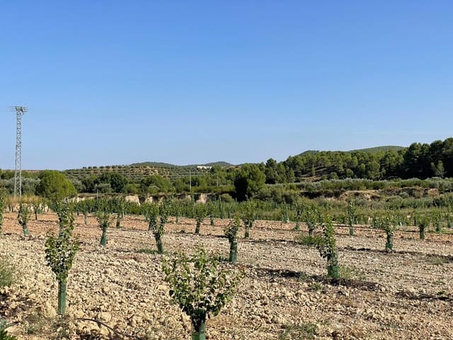 Rakentamaton maa myytävänä paikassa Cehegín - 450 000 € (Ref: 7246965)