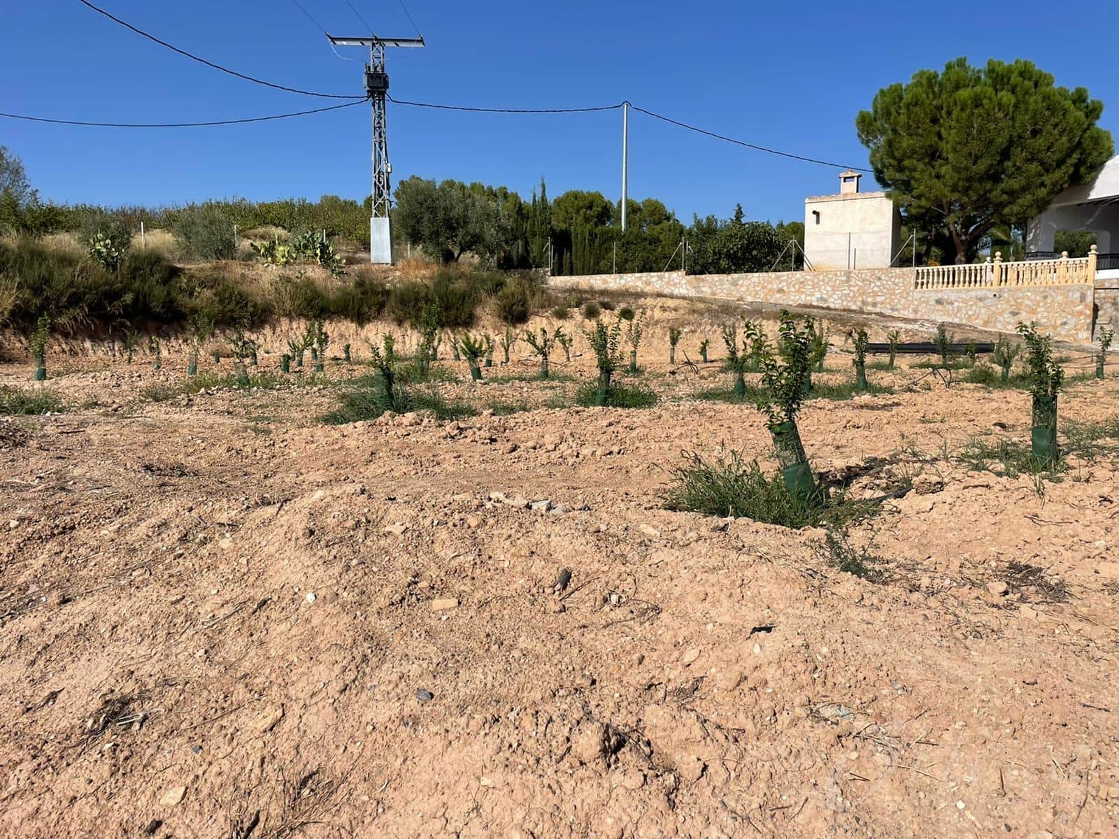 Rakentamaton maa myytävänä paikassa Cehegin - 450 000 € (Ref: 7246965)