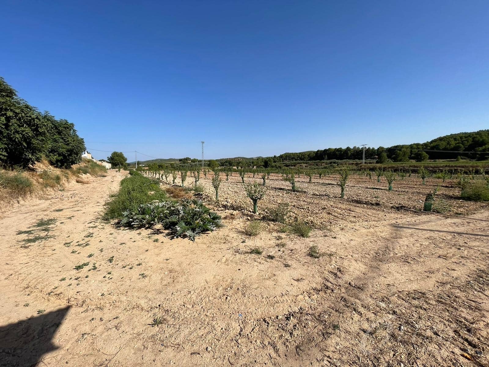 Rakentamaton maa myytävänä paikassa Cehegin - 450 000 € (Ref: 7246965)