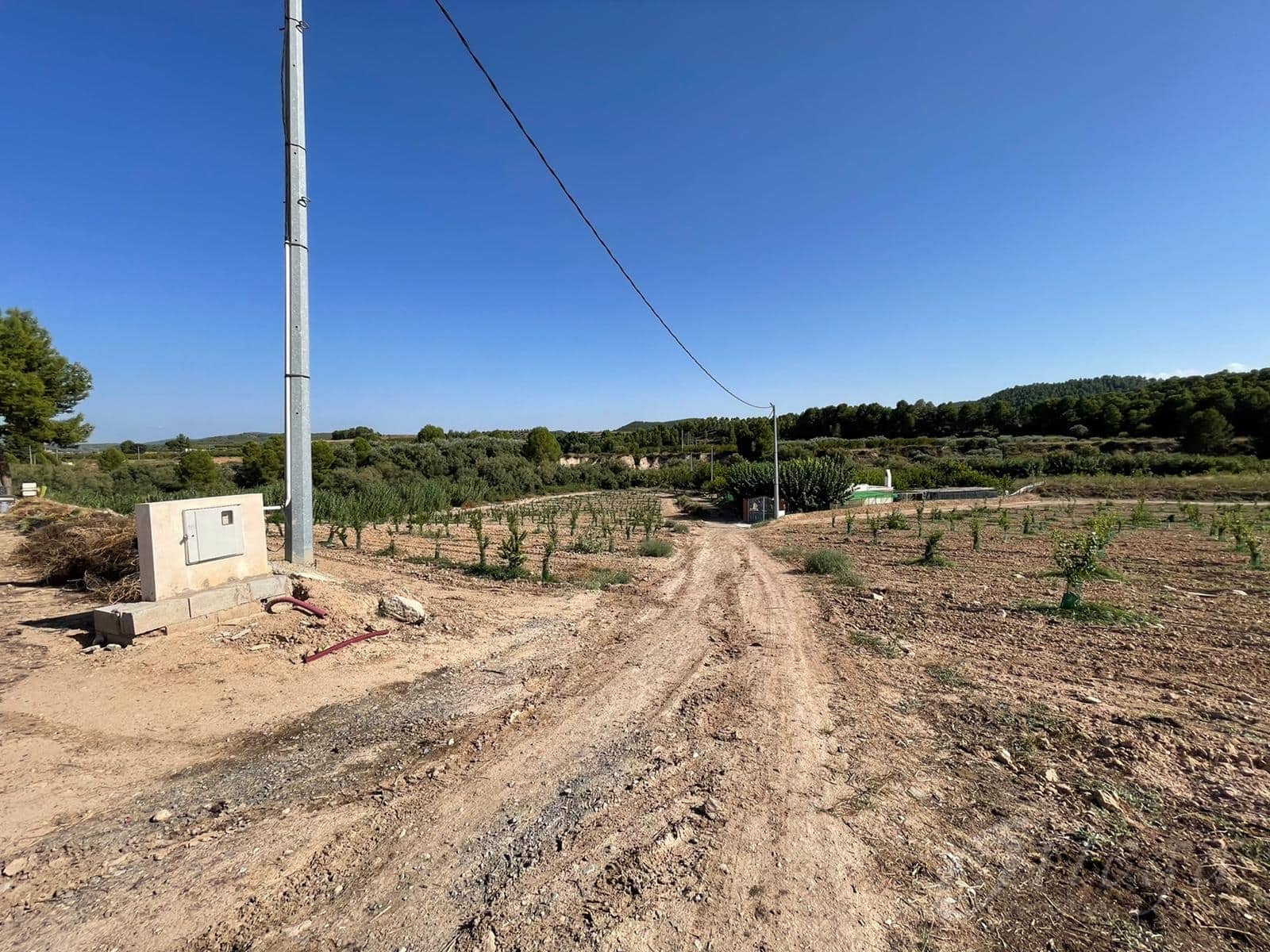 Rakentamaton maa myytävänä paikassa Cehegin - 450 000 € (Ref: 7246965)