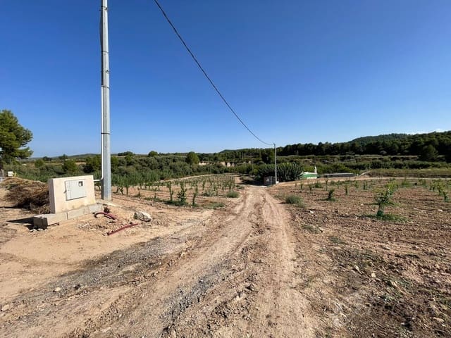 Rakentamaton maa myytävänä paikassa Cehegín - 450 000 € (Ref: 7246965)