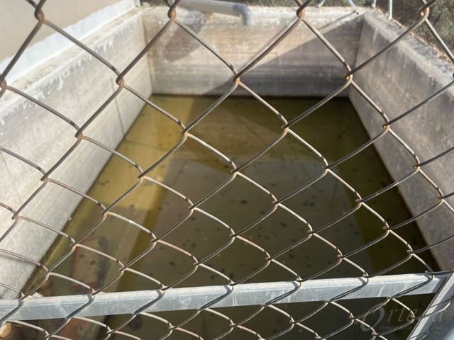 Finca/Casa Rural en Cehegín en venta - 45.000 € (Ref: 7757026)