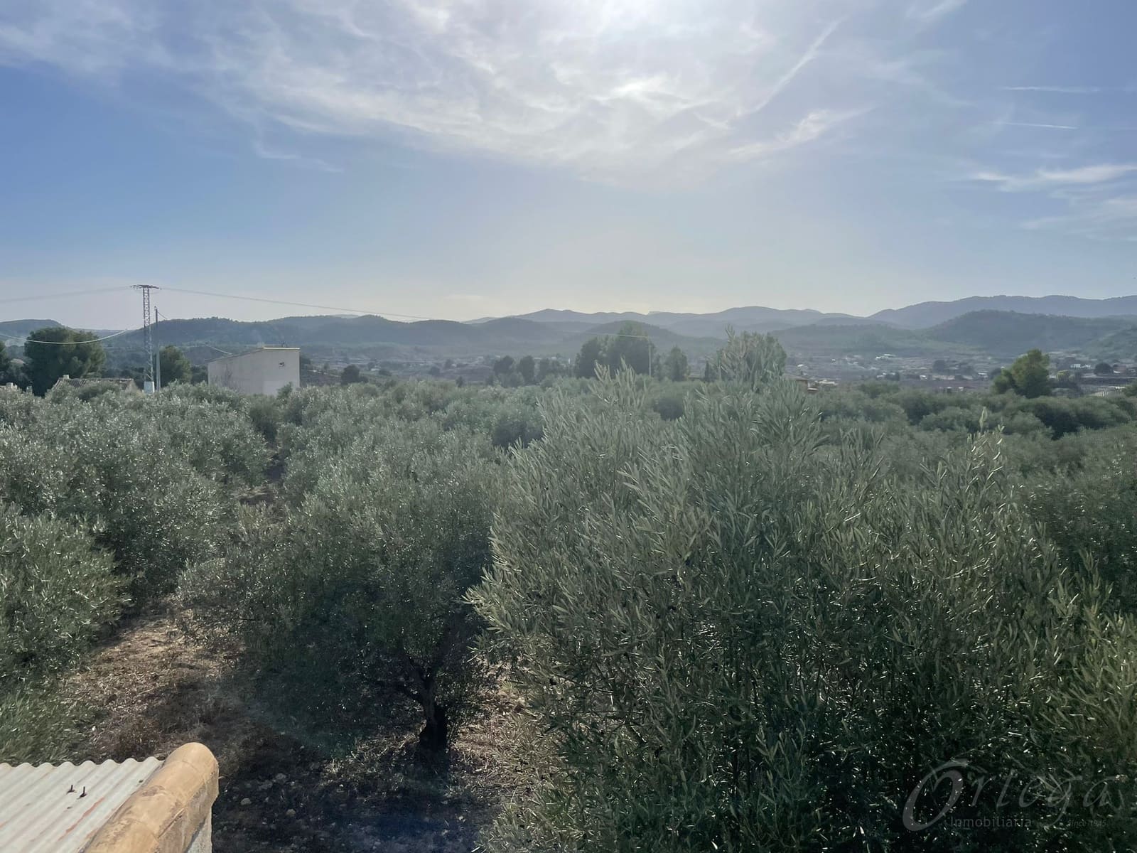 Finca/Country House for sale in Cehegin - € 45,000 (Ref: 7757026)