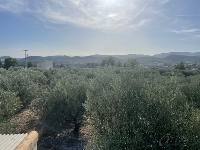 Finca/Casa Rural en Cehegín en venta - 45.000 € (Ref: 7757026)