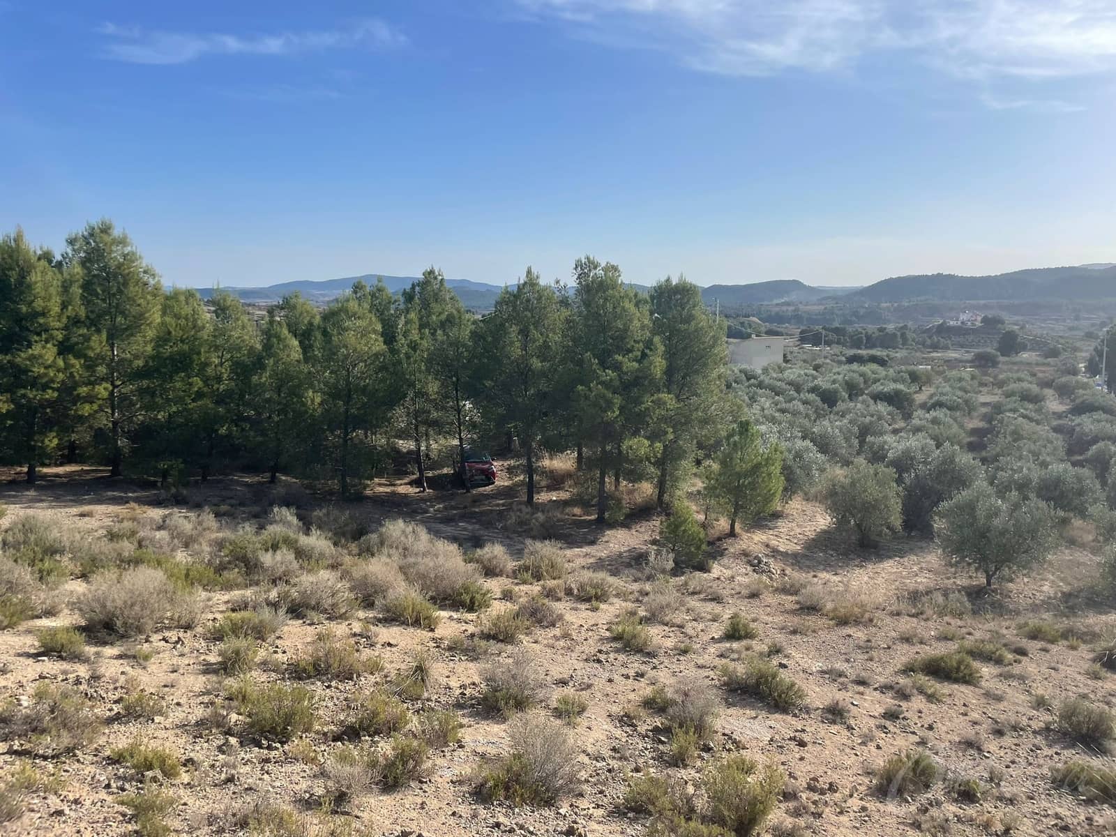 Finca/Country House for sale in Cehegin - € 45,000 (Ref: 7757026)