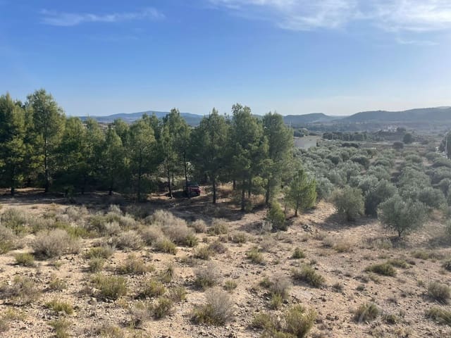 Finca/Casa Rural en Cehegín en venta - 45.000 € (Ref: 7757026)