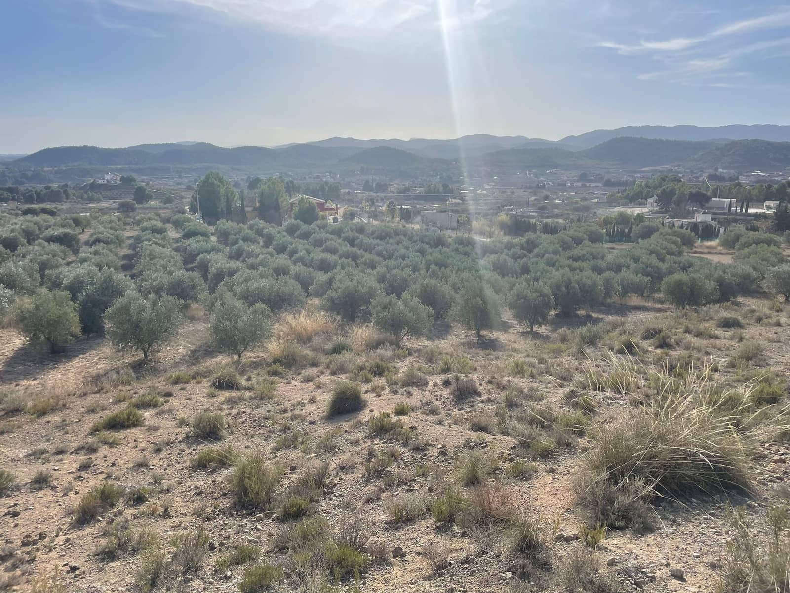 Finca/Country House for sale in Cehegin - € 45,000 (Ref: 7757026)